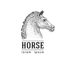 Vector silhouette of a horse s head