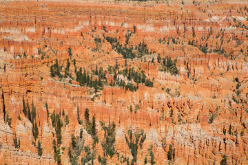 Bryce canyon