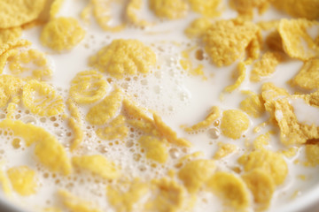 closeup of corn flakes with milk in bowl, healthy food background