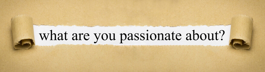 what are you passionate about?