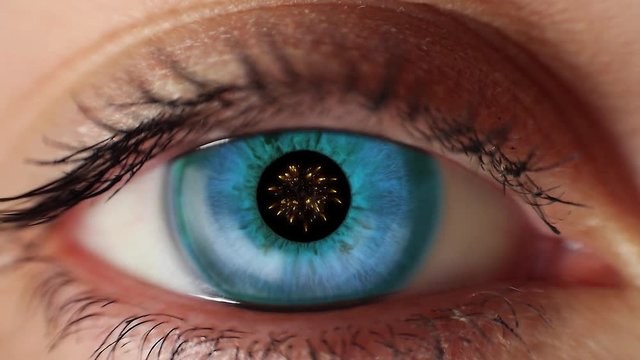 Eyes look up on fireworks 2017.