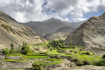 Nubra  -  a tri-armed valley located to the north east of Ladakh valley, India   © robnaw
