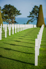 Obraz premium White crosses in American Cemetery, Omaha Beach, Normandy, Franc