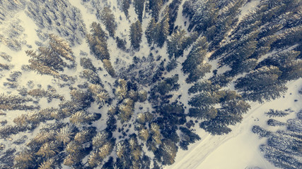 Fototapeta premium Aerial view of winter forest.