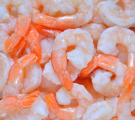 Cooked shrimps,prawns isolated on white background