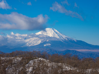 富士山