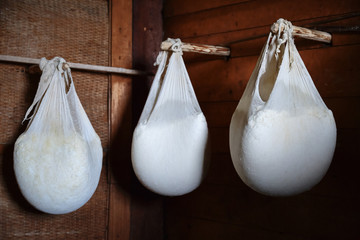 Cheese hang in cheesecloth inside a hut.