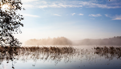 Fog by the lake