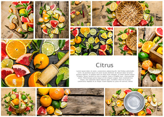 Food collage of slice citrus fruits .