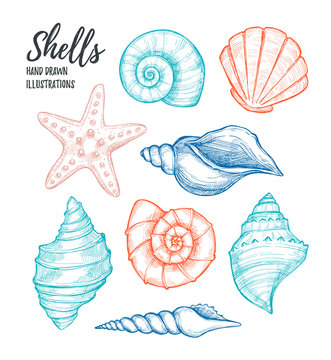 Hand drawn vector illustrations - collection of seashells.  Marine set. Perfect for invitations, greeting cards, posters, prints, banners, flyers etc