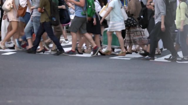 大都市の雑踏（横断歩道・下半身・昼）