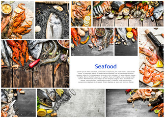 Food collage of seafood .