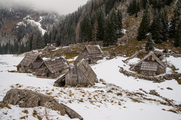 Alpine meadow in Julian Alps