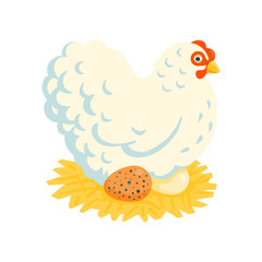 White fluffy broody chicken on a nest vector illustration cartoon style