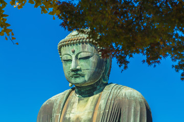 The Great Buddha in Kamakura.  Located in Kamakura, Kanagawa Prefecture Japan.There are pigeon to Buddha's head.