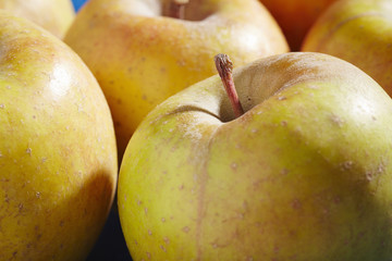 fresh, ripe goldrush apples