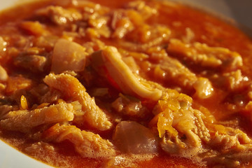 a bowl of beef tripe in tomato sauce; a classic Italian recipe