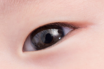 Fototapeta premium Close up shot the eye of baby