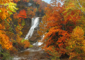 Ithaca waterfal