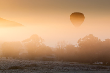 Hot Air Balloon Rises Thru The Mist