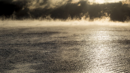 Marine pairs near Kotka