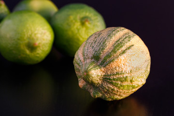 Striped lemon and limes on black background