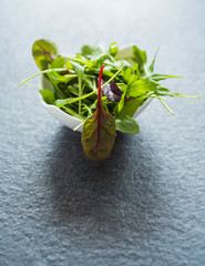 light salad of leaves of mangold ruccola spinach on stone