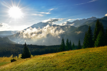 View of Tatra mountain form Rusinowa glade.