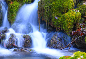 Mountain stream among the mossy stones