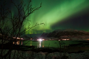 Northern lights on sea and snow and trees