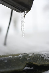 Macro photo of small growing icicle.