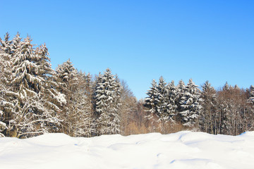 Beautiful winter landscape.