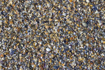 Sand beach background texture. Sand marine background texture