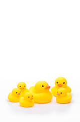 yellow rubber duck on white background.