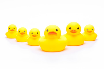 yellow rubber duck on white background.