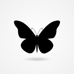 Vector flat isolated black butterfly icon with shadow