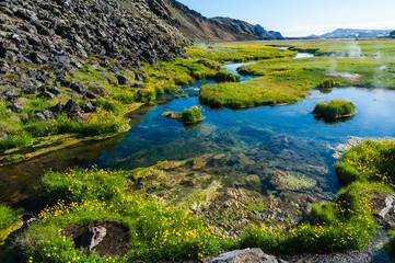 Fototapeta premium Natural Hot Springs in Iceland