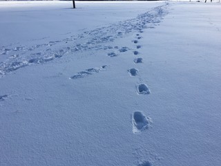 Fu&szlig;stapfen im Schnee