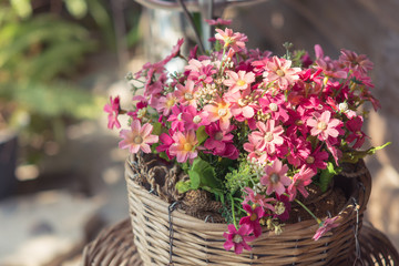 Colorful flower in the Basket