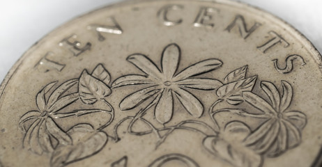 Fototapeta na wymiar singapore ten cents coin with Jasminum multiflorum flower closeup