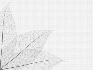 nervures de feuilles en coin de page quadrillée 