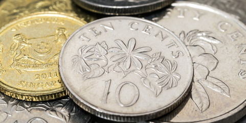 singapore ten cents coin with Jasminum multiflorum flower closeup on stack of coins