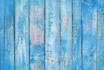 Fototapeta na wymiar blue old wooden fence. wood palisade background. planks texture