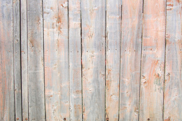 Naklejka premium light coral old wooden fence. wood palisade background. planks texture