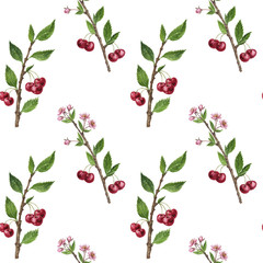 seamless pattern with cherry tree branch with flowers, leaves and berries