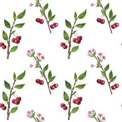 seamless pattern with cherry tree branch with flowers, leaves and berries
