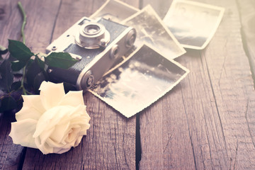 White rose, old photos and camera. Tinted, copy space