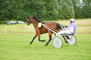 Trabrennen - Pferd mit Jokey auf der Bahn in Aktion, Aufw&auml;rmrunde