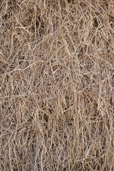 chaff straw background
