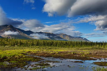 Fototapeta na wymiar Mountains on Alaska